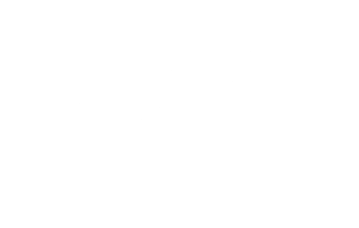 Airstream Trailer RV Insurance